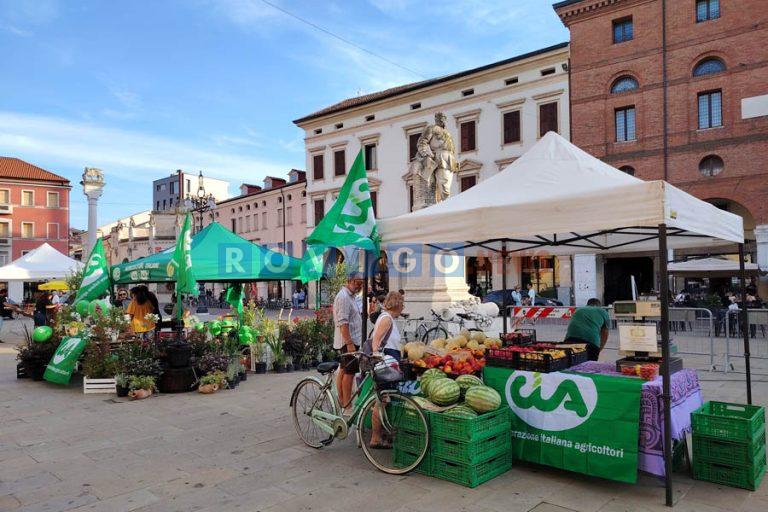 Frutta: gli agricoltori polesani guadagnano il 10% in meno rispetto al 2023