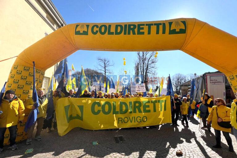 Manifestazione organizzata da Coldiretti a Parma, Rovigo presente